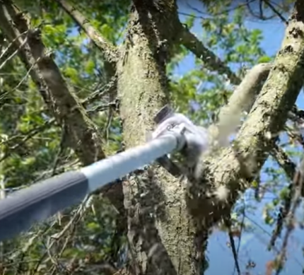 PPH-250-H-series-pruners-Oleo-Mac